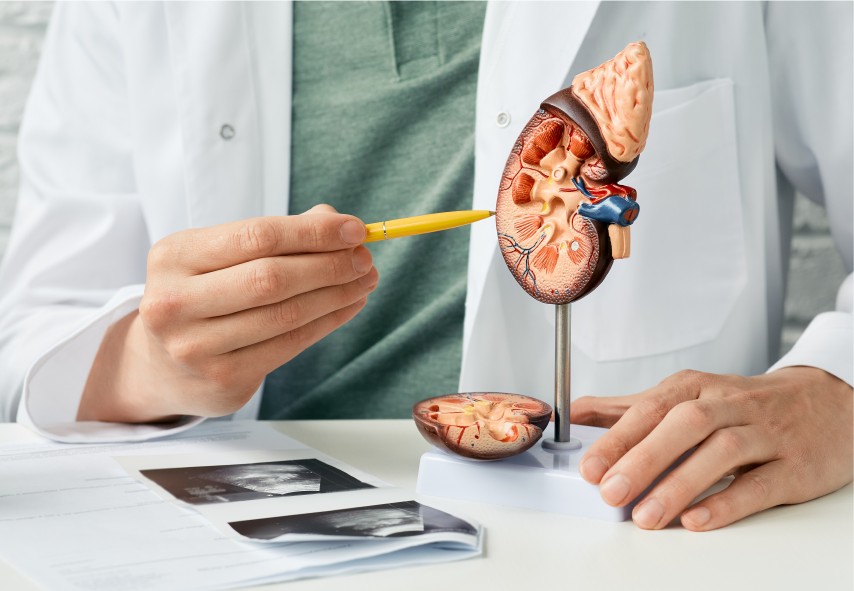 uroloncologia